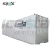 耐用性强的 Icesta 20t 雪花制冰机为滑雪场造雪